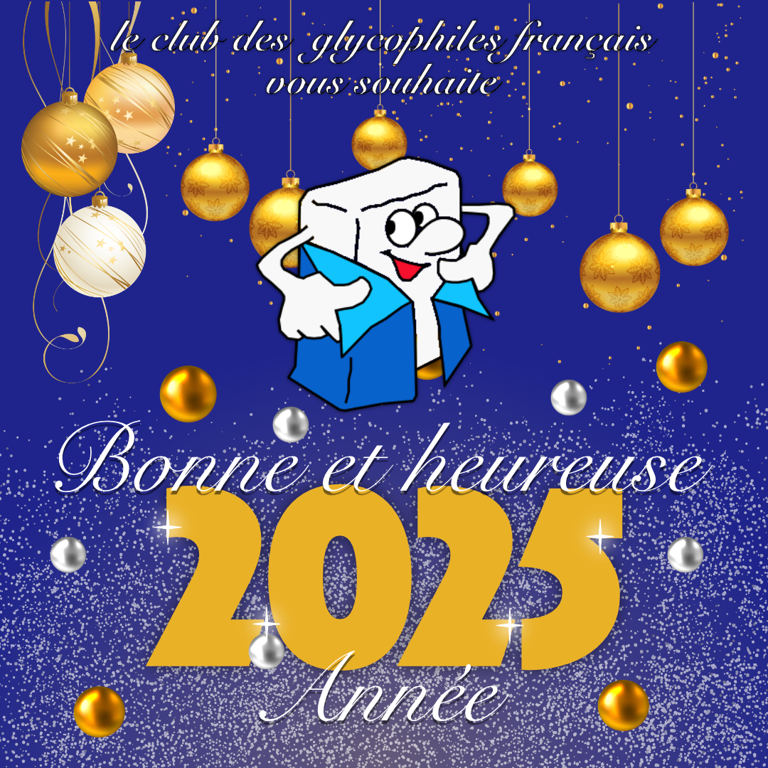 bonne annee 2025 glyco